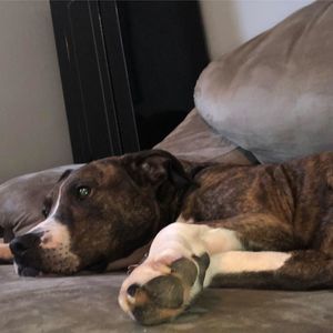 Meet your Posher, Bryson